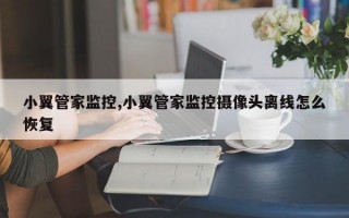 小翼管家监控,小翼管家监控摄像头离线怎么恢复
