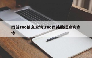网站seo信息查询,seo网站数据查询命令