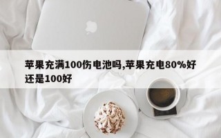 苹果充满100伤电池吗,苹果充电80%好还是100好