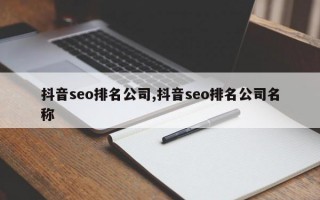 抖音seo排名公司,抖音seo排名公司名称