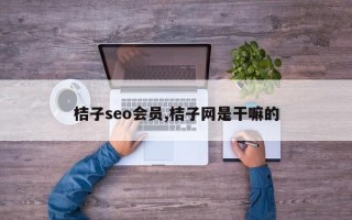 桔子seo会员,桔子网是干嘛的