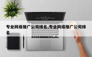 专业网络推广公司排名,专业网络推广公司排名