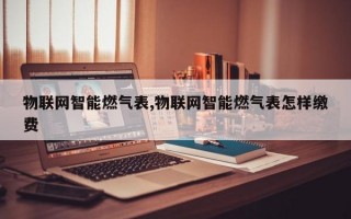 物联网智能燃气表,物联网智能燃气表怎样缴费