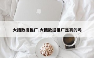 大搜数据推广,大搜数据推广是真的吗