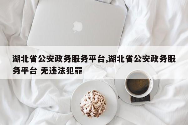 湖北省公安政务服务平台,湖北省公安政务服务平台 无违法犯罪-第1张图片