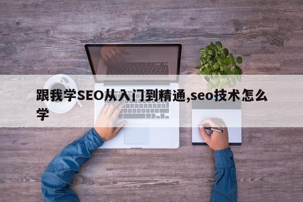 跟我学SEO从入门到精通,seo技术怎么学-第1张图片