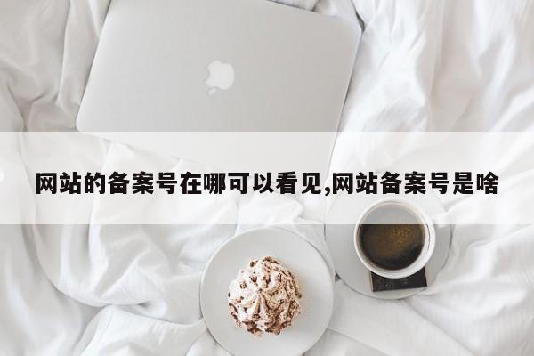 网站的备案号在哪可以看见,网站备案号是啥-第1张图片