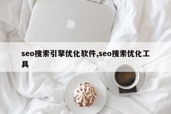 seo搜索引擎优化软件,seo搜索优化工具-第1张图片