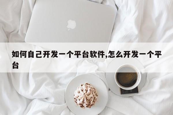 如何自己开发一个平台软件,怎么开发一个平台-第1张图片